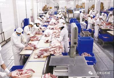 触目惊心！猪价“跌跌不休”，养殖户何去何从？食品销售端迎来新挑战与机遇