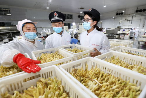 网络销售特殊食品安全合规指南 引领行业规范发展新方向