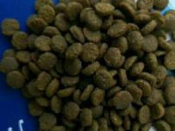 临沂宠物食品公司品牌直销与专业代加工服务解析——兼论西安宠物食品用品销售市场